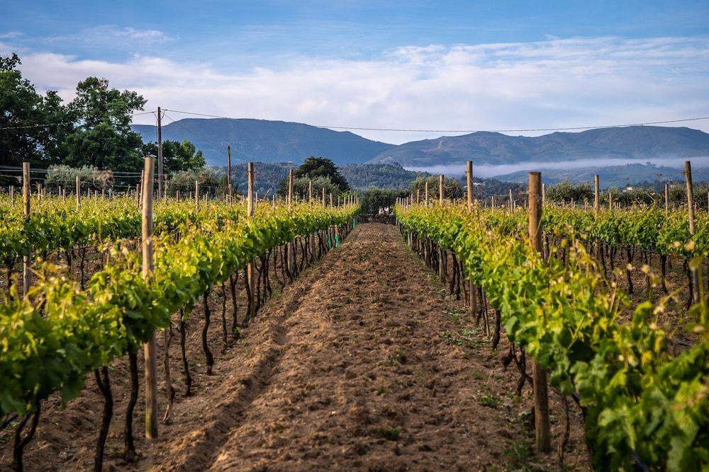Madre De Agua Hotel Rural De Charme Gouveia  Eksteriør bilde